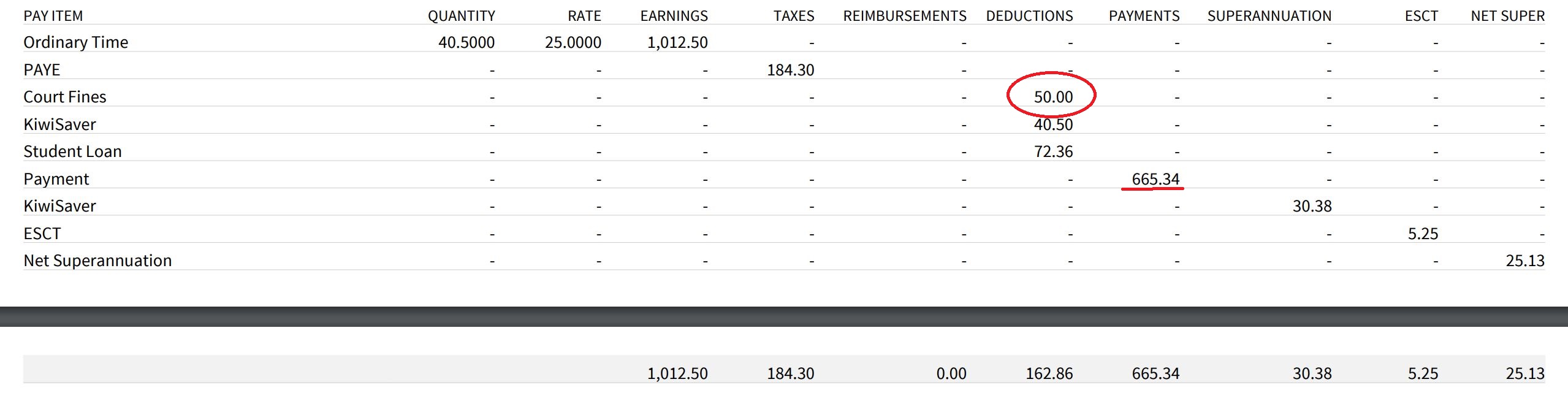 Court Fine Statutory Deduction showing on Pay Summary Report